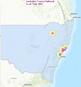 A race against time - Australia’s varroa destructor outbreak